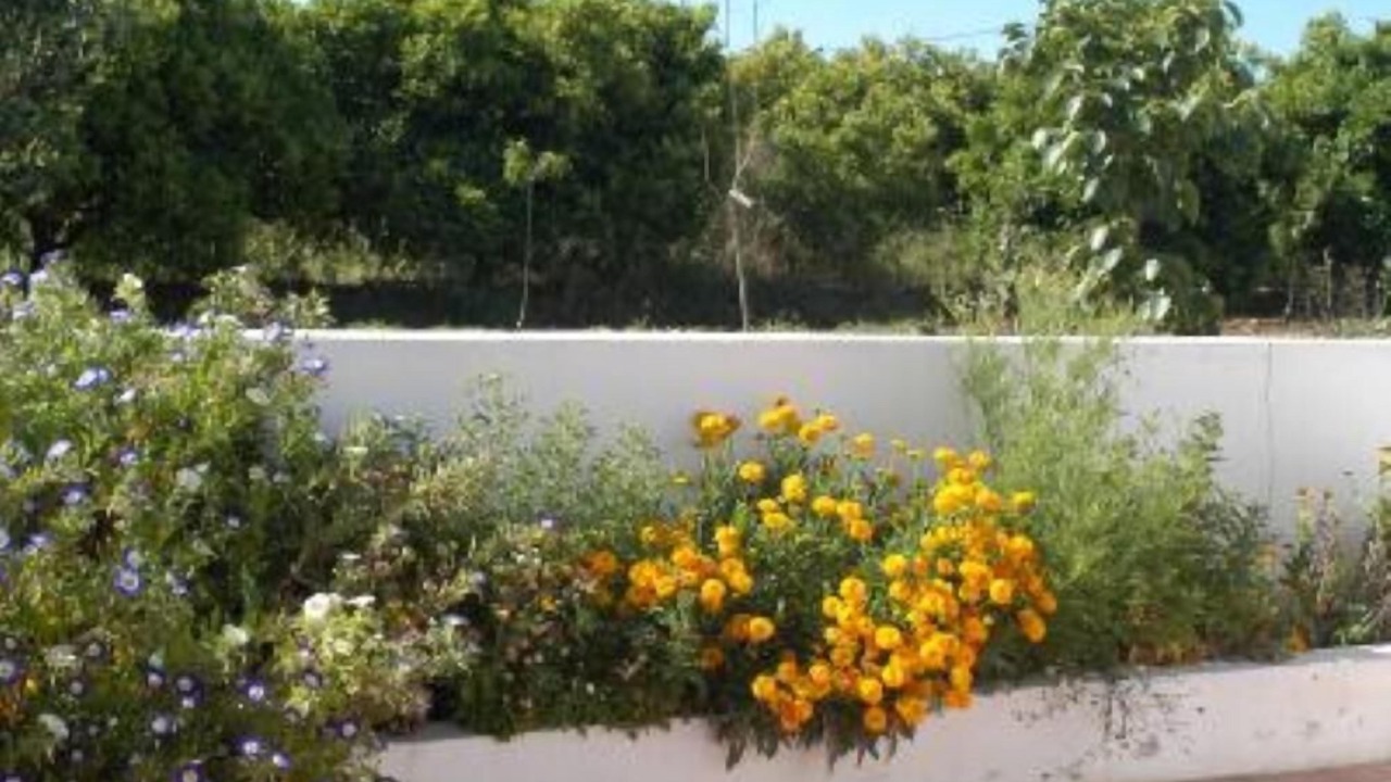 Photo of Patio Balcony in Silves