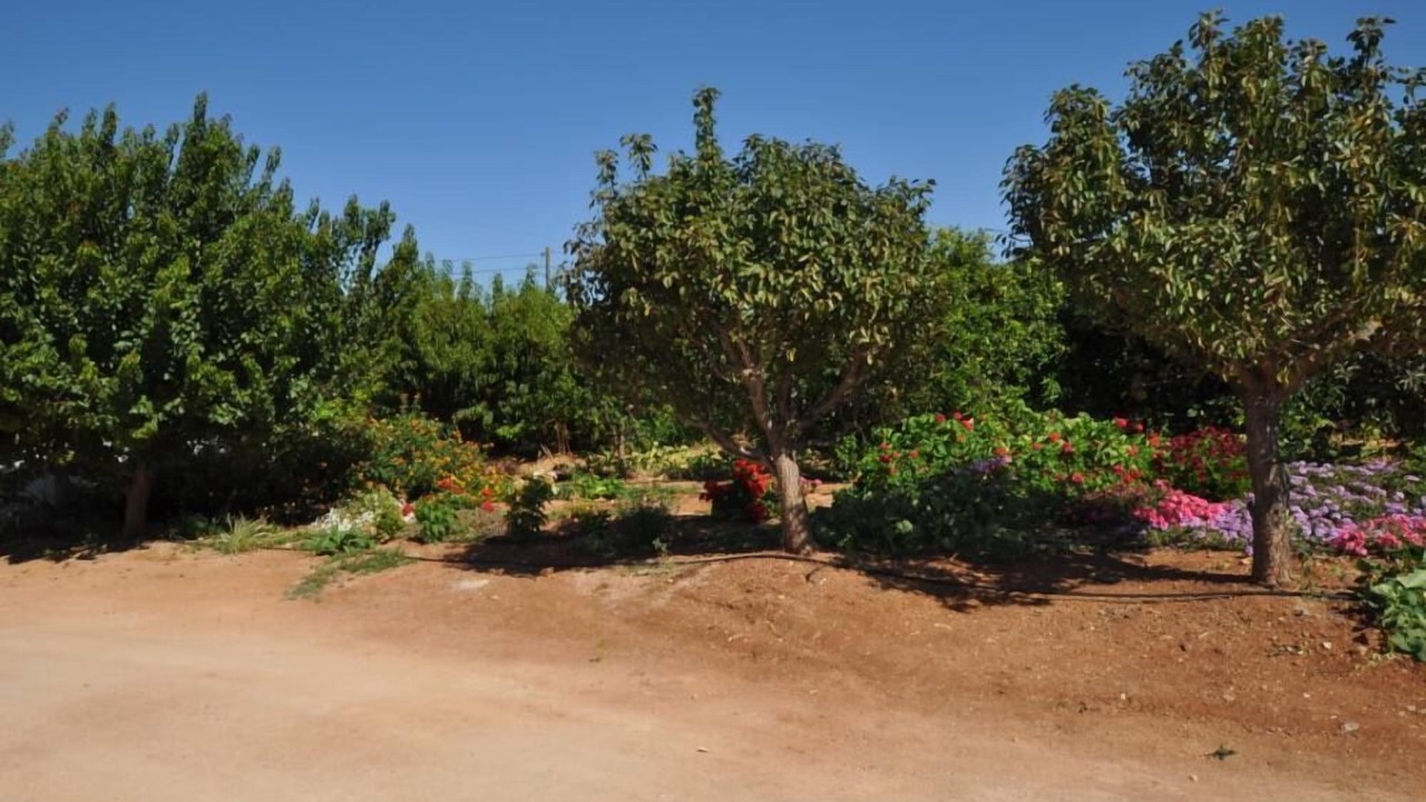 Photo of Outdoor in Silves