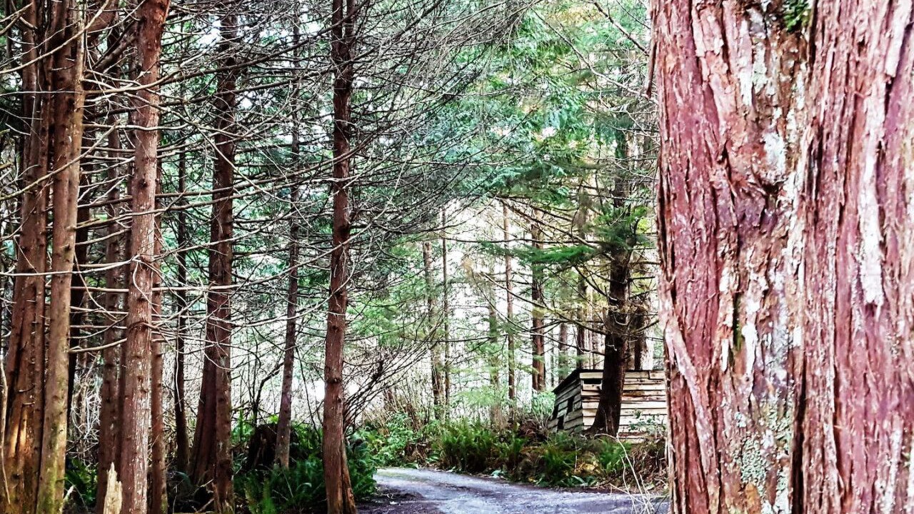 Photo of Others in Ucluelet