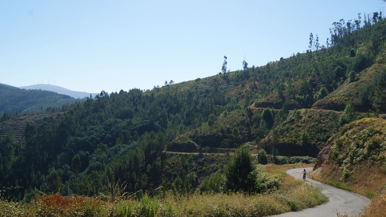 Photo of Outdoor in Gois