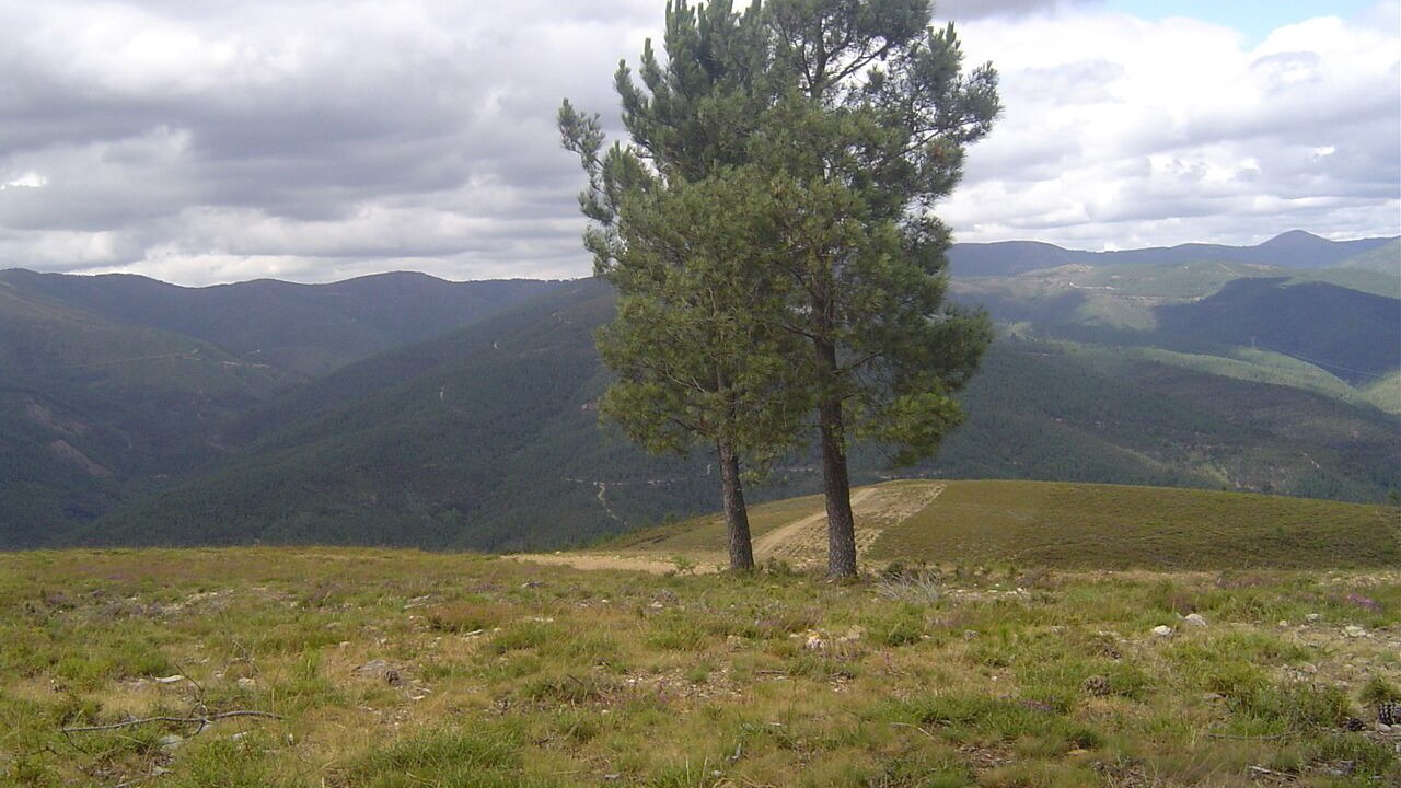 Photo of Outdoor in Gois