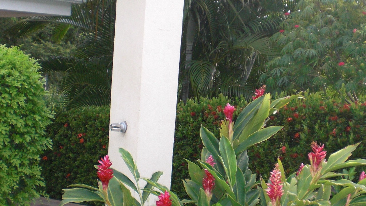 Photo of Outdoor in Playa Hermosa