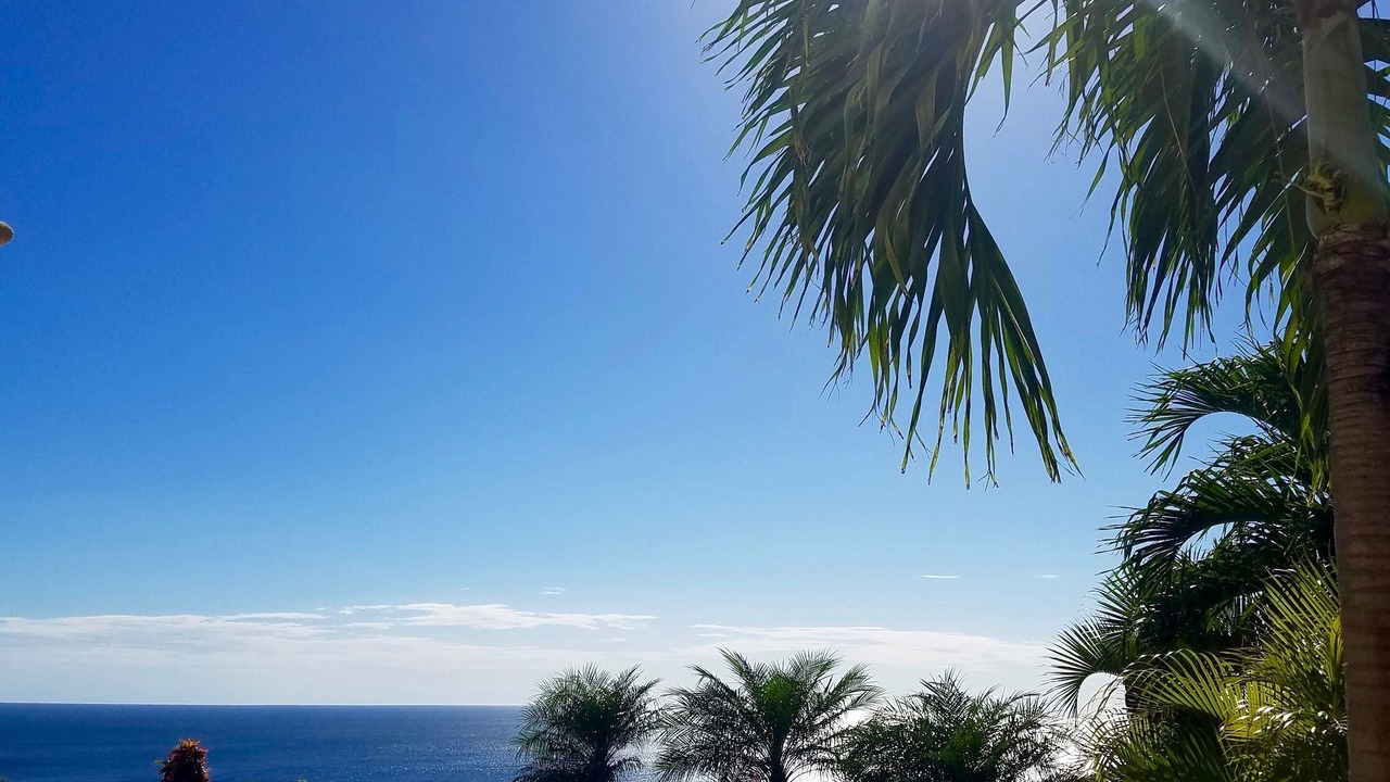 Photo of Outdoor in Paradise Bay
