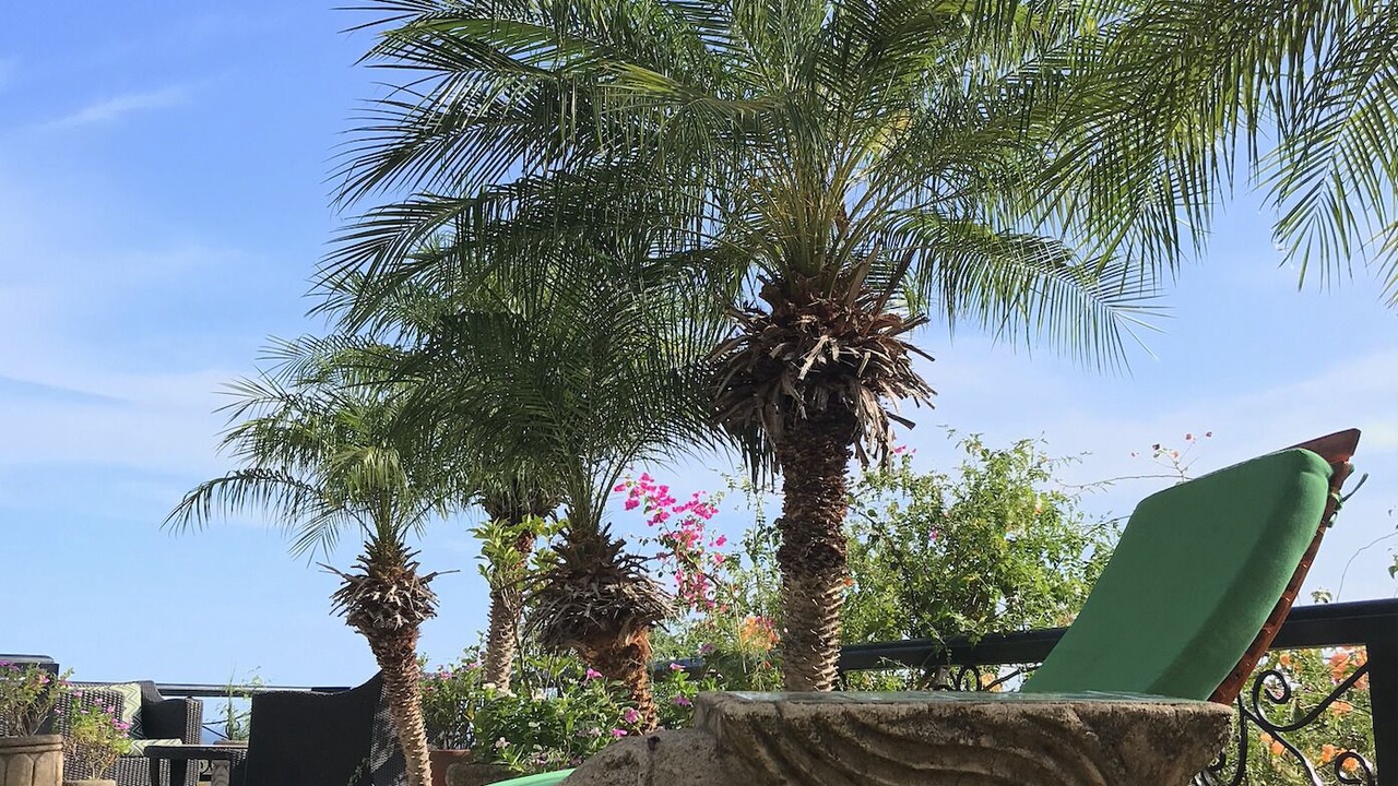 Photo of Patio Balcony in Paradise Bay