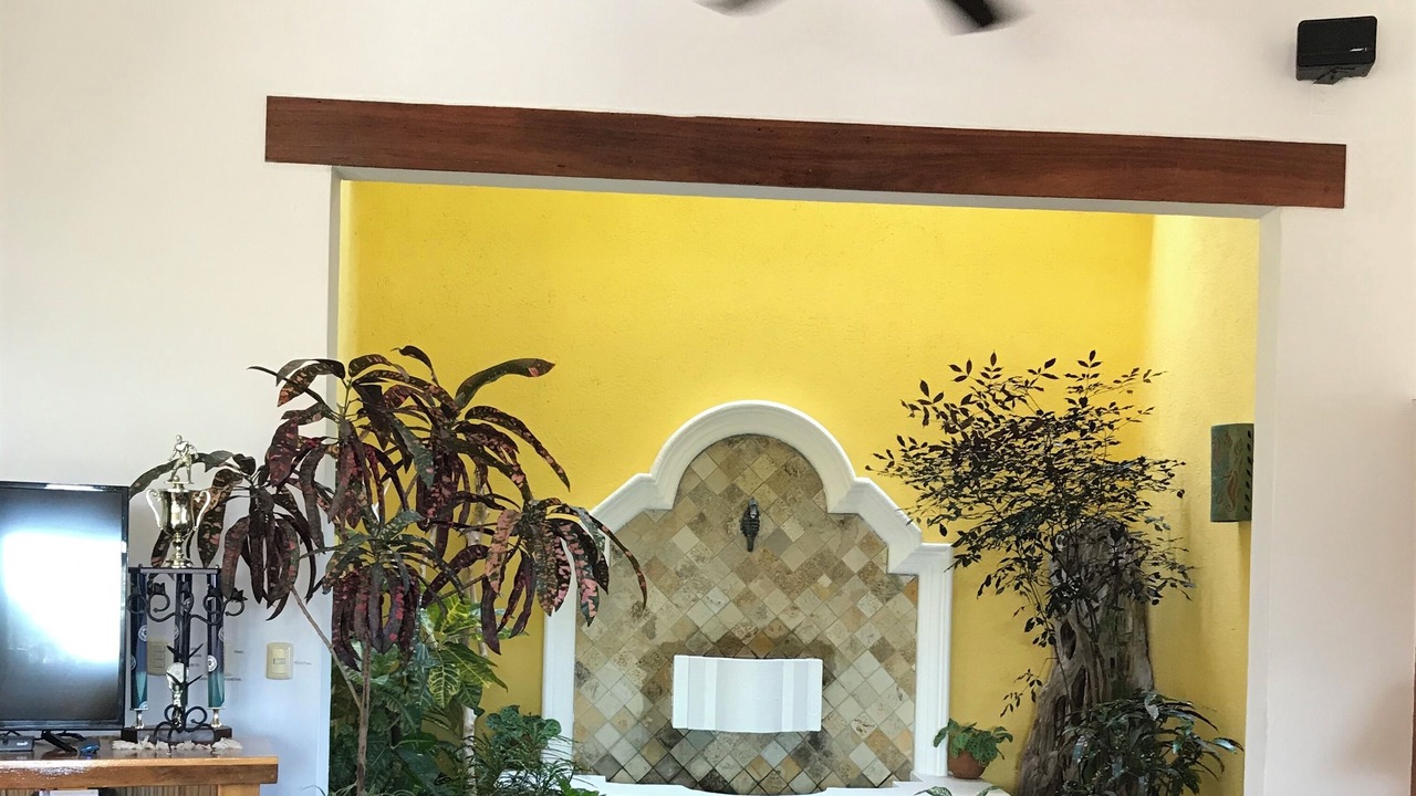 Photo of Others in Paradise Bay