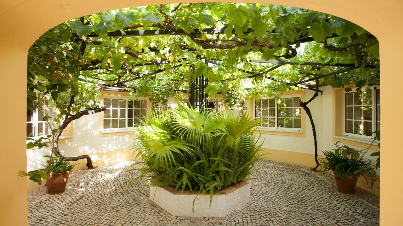 Photo of Outdoor in Caldas de Monchique