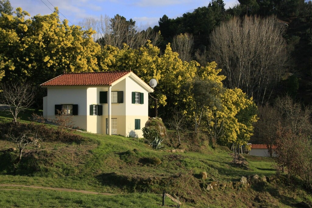 Photo of Buildings in Covas