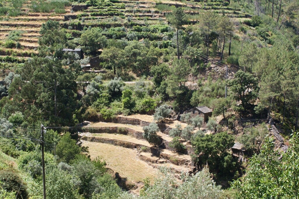 Photo of Outdoor in Covas