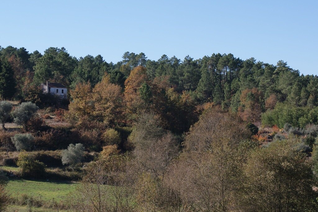 Photo of Outdoor in Covas