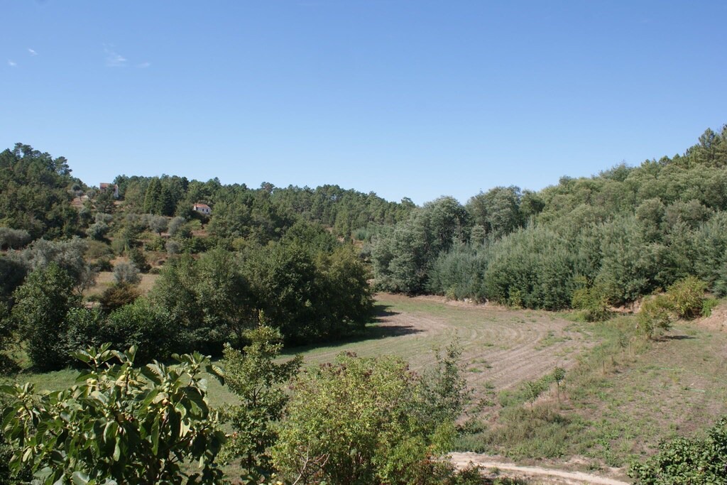Photo of Outdoor in Covas