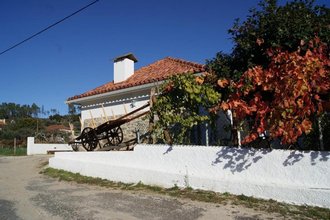 Photo of Others in Pampilhosa da Serra