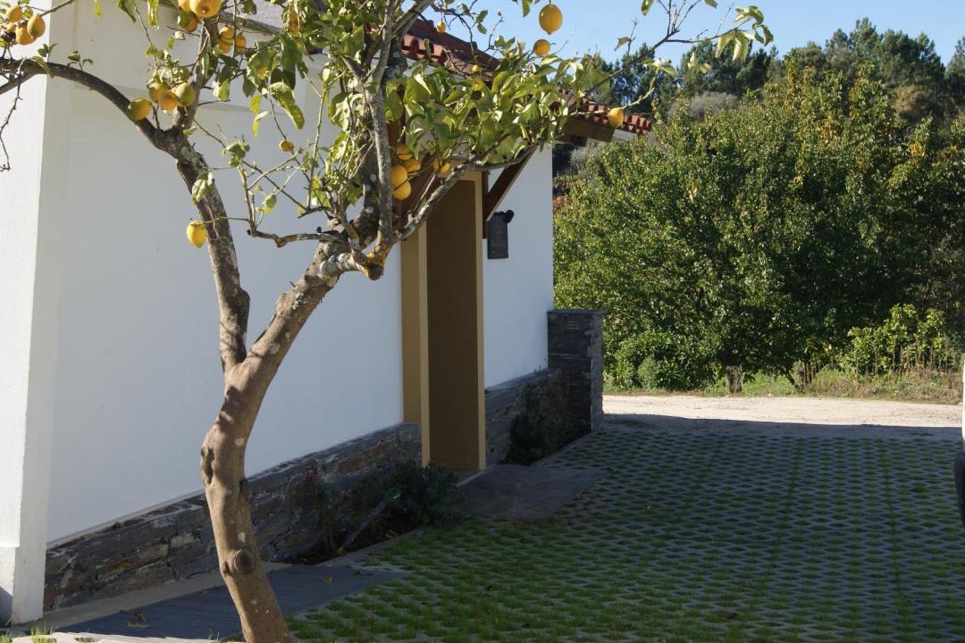 Photo of Others in Pampilhosa da Serra