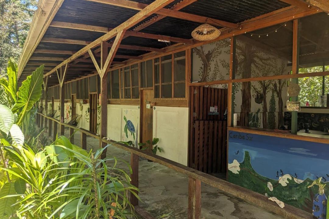 Photo of Others in Cocles