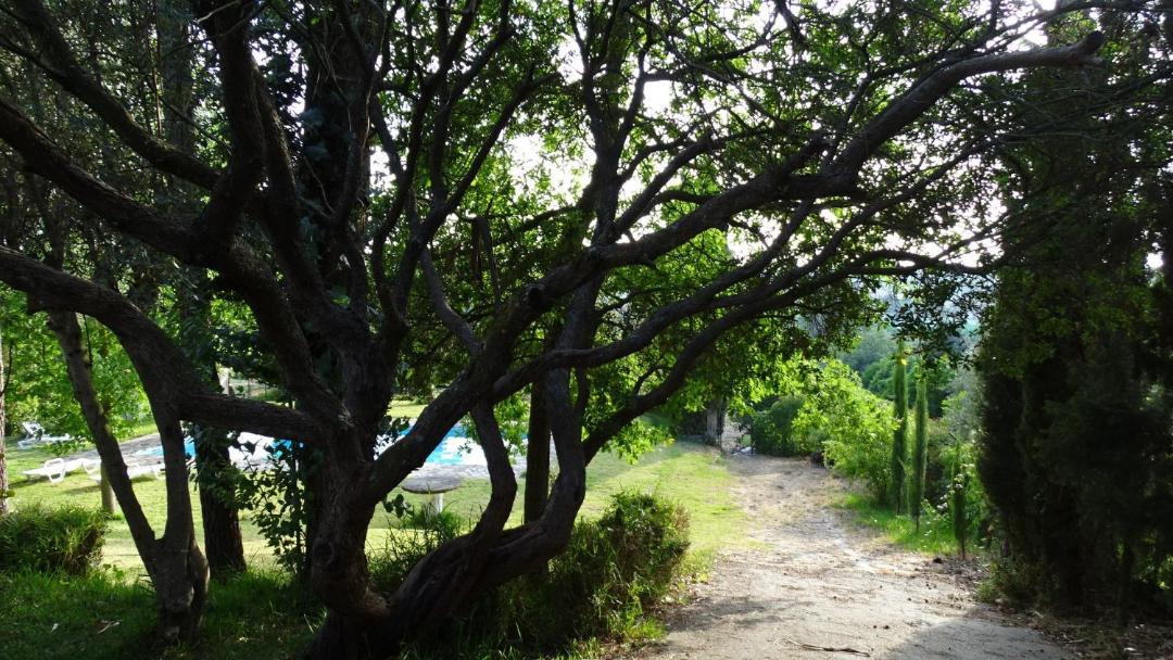 Photo of Outdoor in Palhais