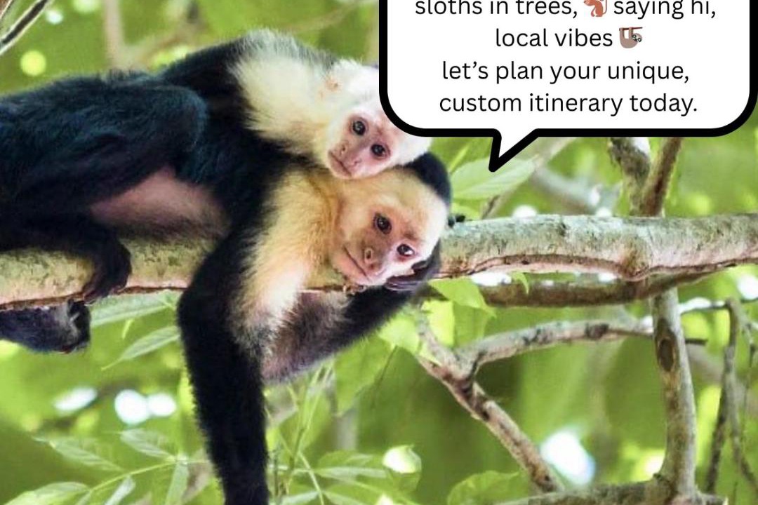 Photo of Others in Punta Uva