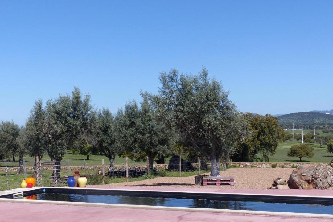 Photo of Others in Portalegre