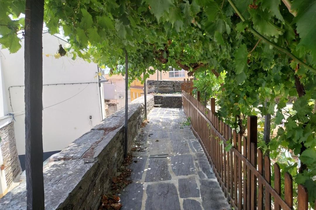 Photo of Others in Vila Nova de Foz Coa