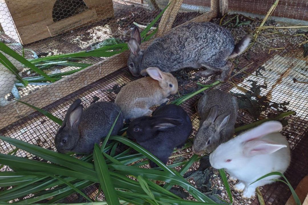 Photo of Others in San Isidro de El General
