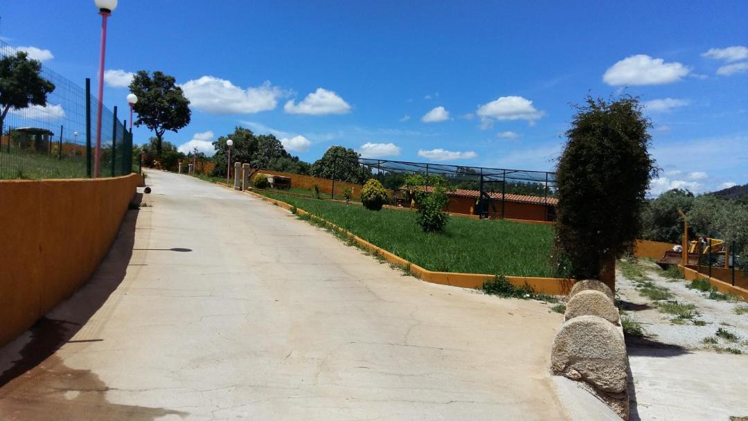 Photo of Others in Penamacor