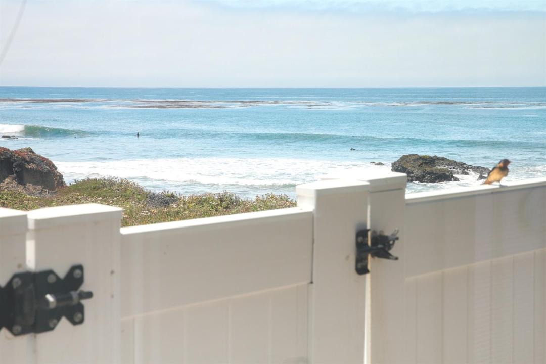 Photo of Others in San Simeon
