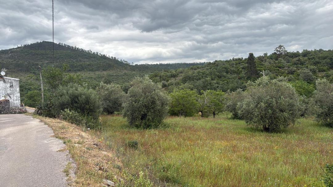 Photo of Others in Penela