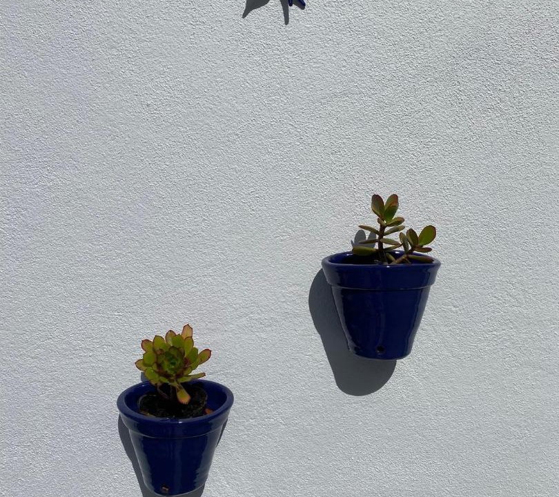 Photo of Others in Elvas