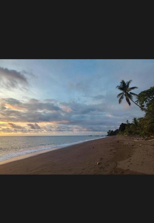 Photo of Others in Drake Bay
