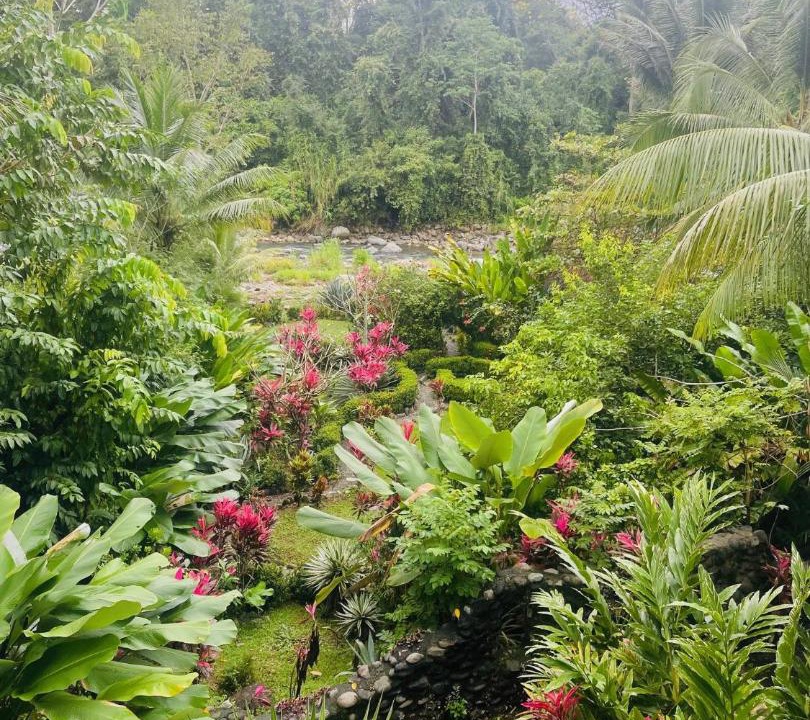 Photo of Others in Ballena