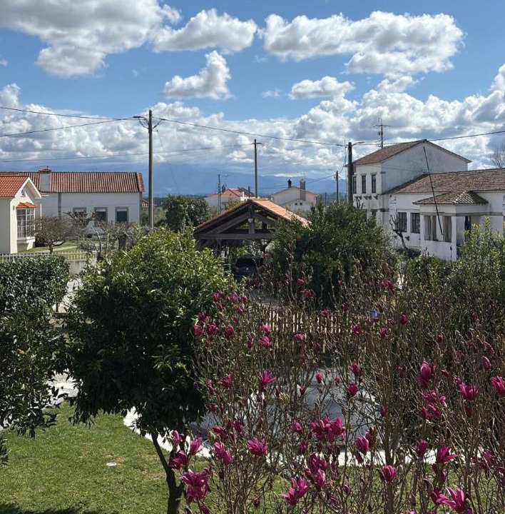 Photo of Others in Canas de Senhorim