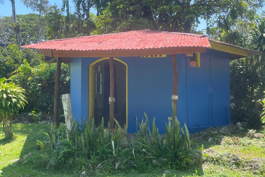 Photo of Others in Cahuita