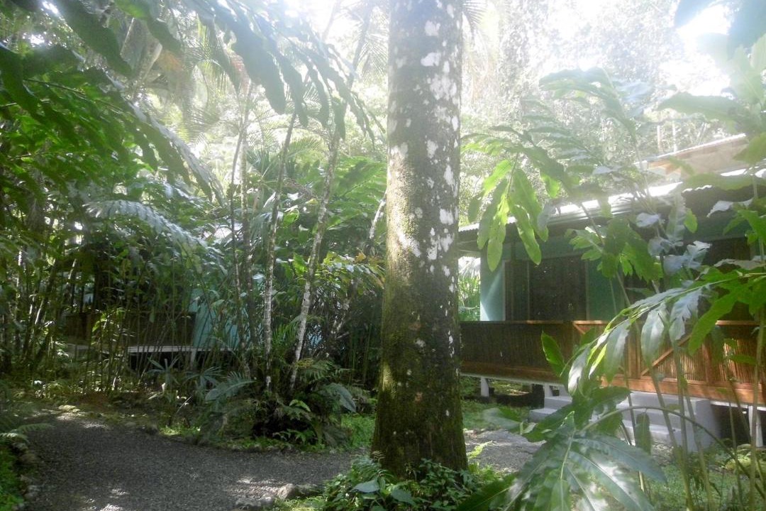 Photo of Others in Chiguata