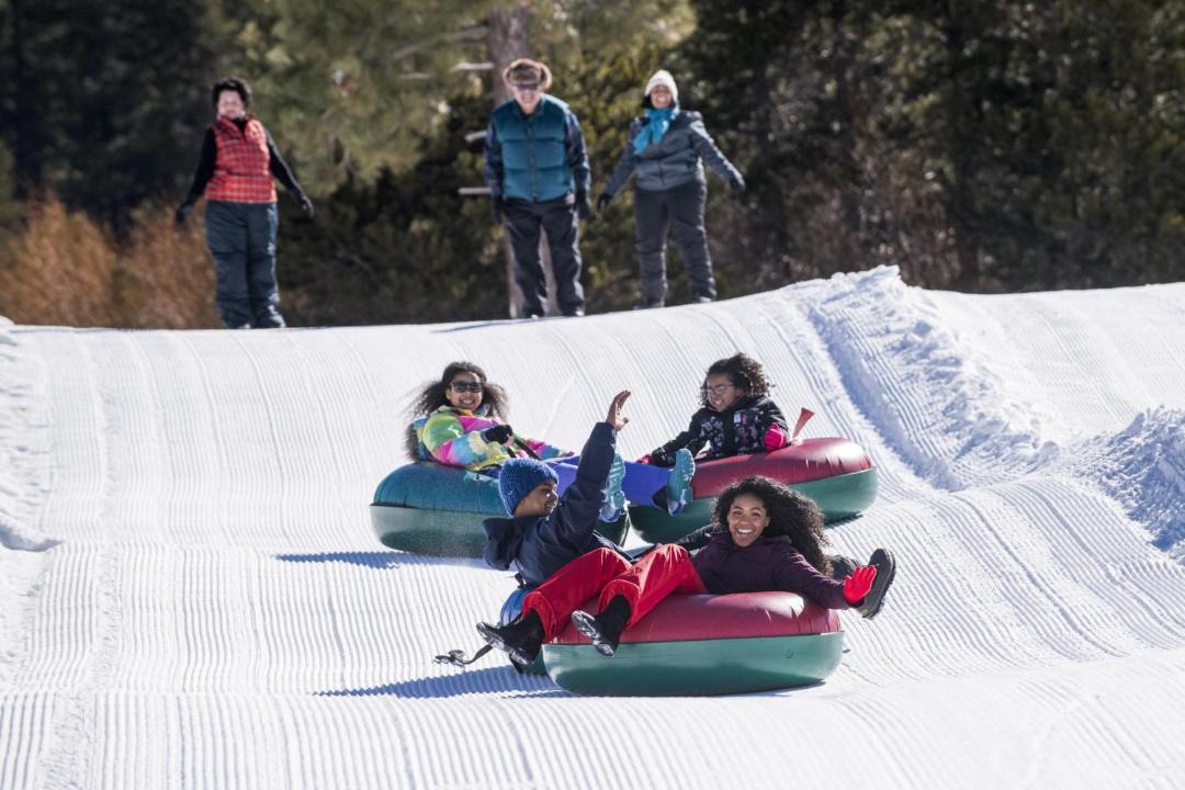 Photo of Others in Tahoe Paradise