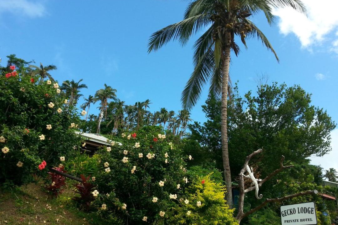 Photo of Others in Savusavu