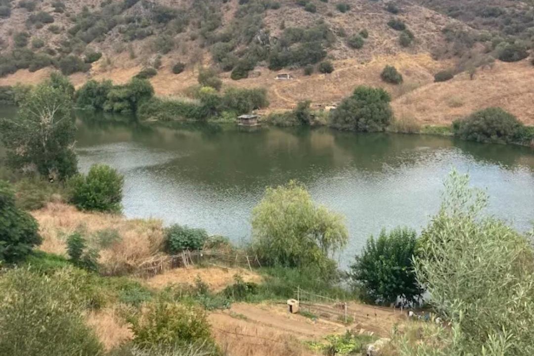 Photo of Others in Mertola