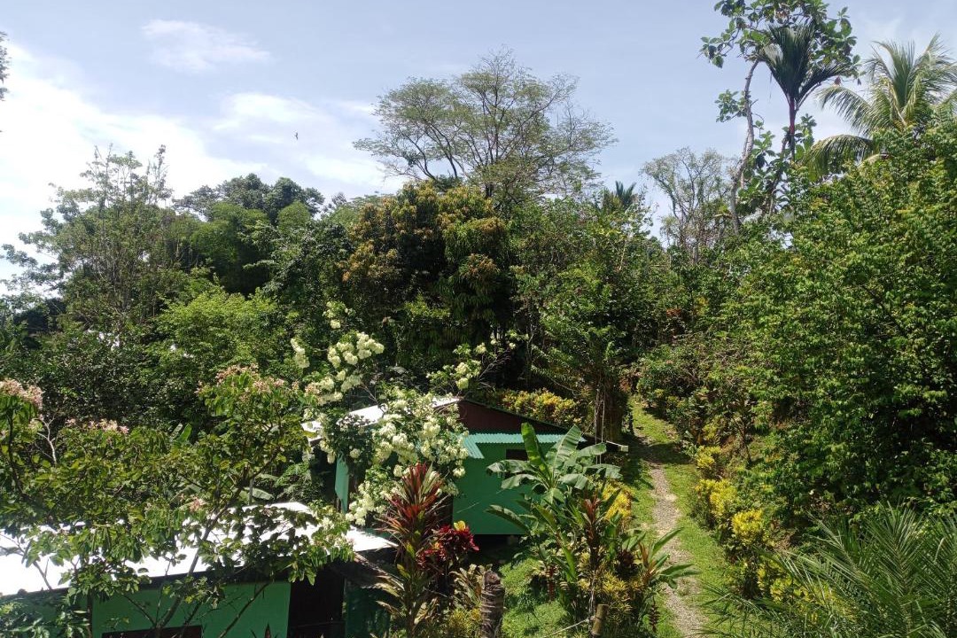 Photo of Others in Puerto Viejo de Talamanca