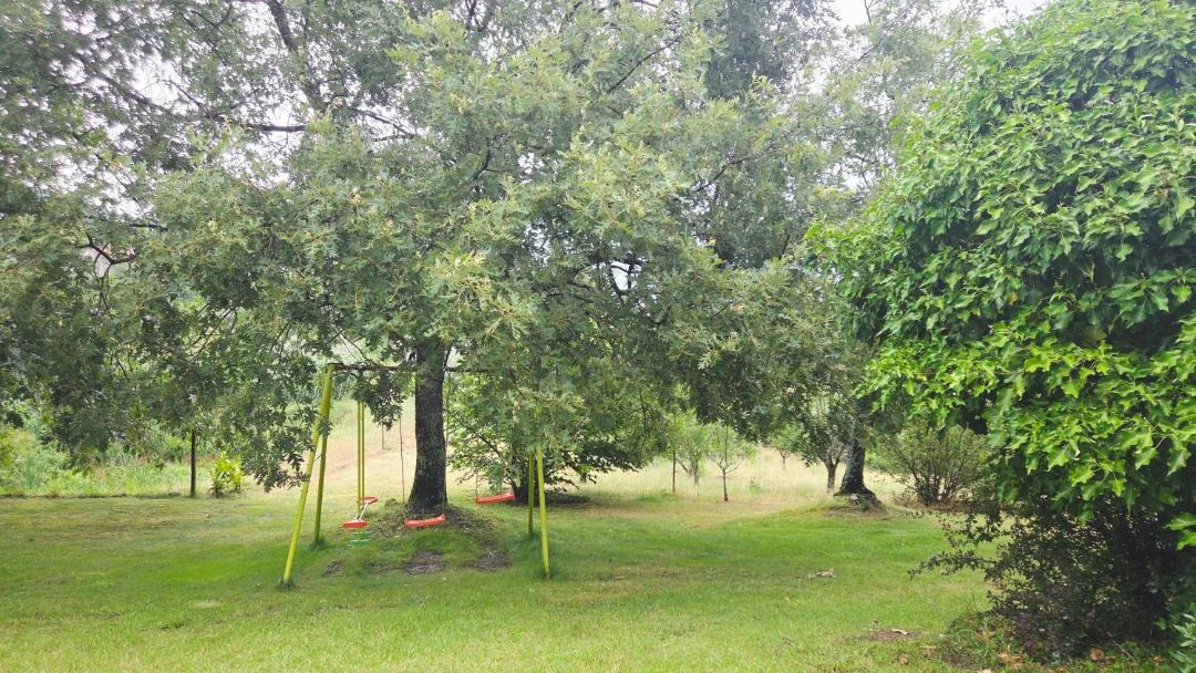 Photo of Outdoor in Covilha