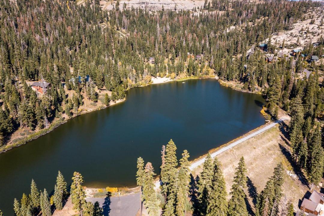 Photo of Others in Bear Valley