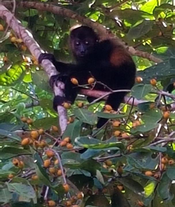 Photo of Others in Rio Seco