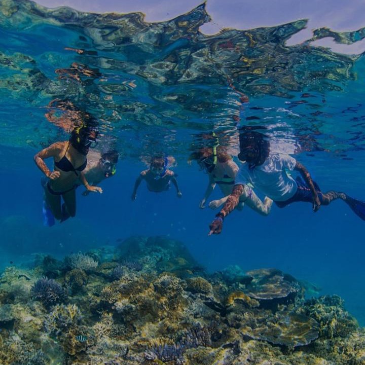 Photo of Others in Naviti Island