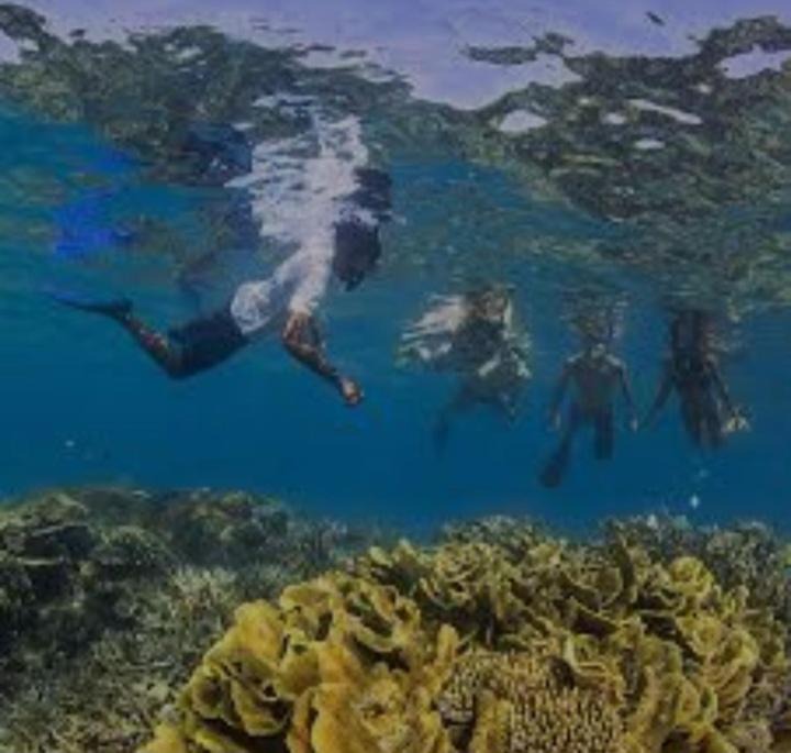 Photo of Others in Naviti Island