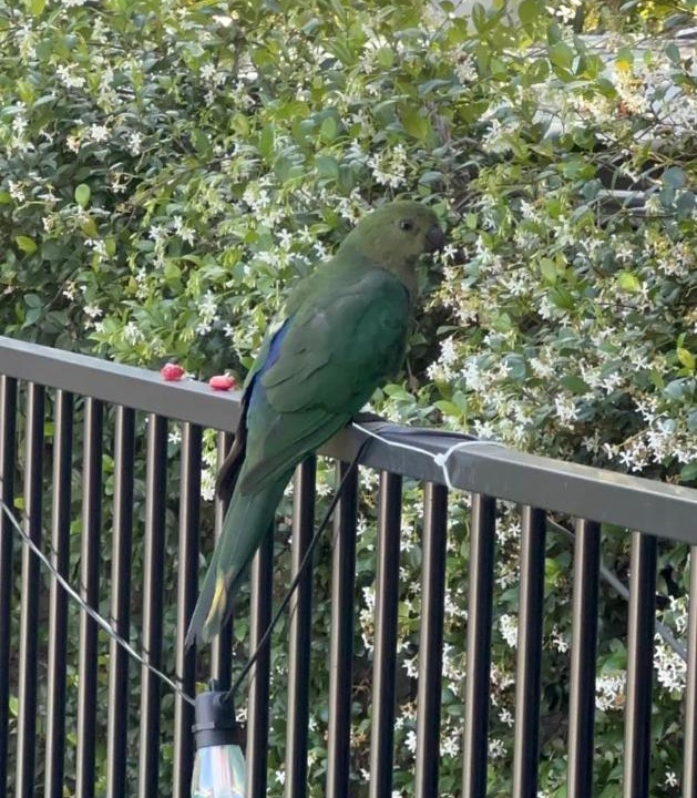 Photo of Others in Samford Village