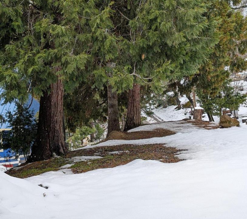 Photo of Others in California Hot Springs