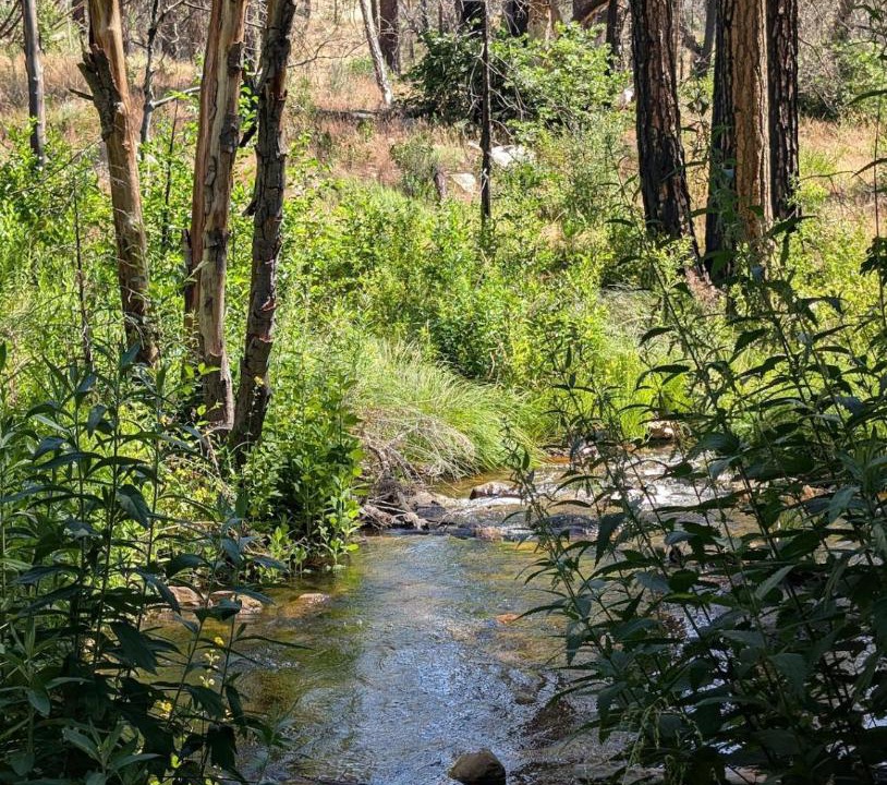Photo of Others in California Hot Springs