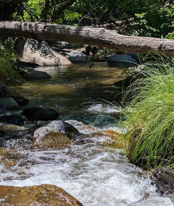 Photo of Others in California Hot Springs