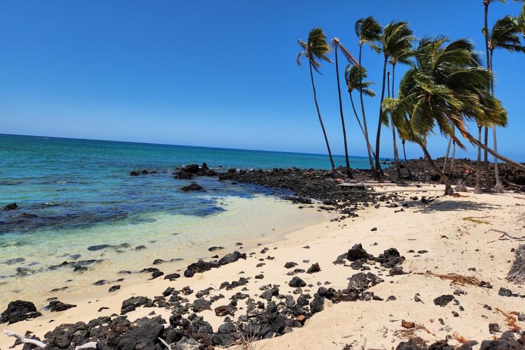Photo of Others in Honokaa