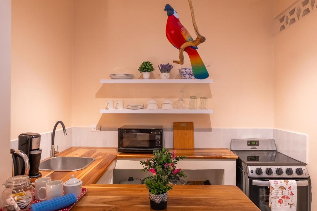 Photo of Kitchen in Tamarindo