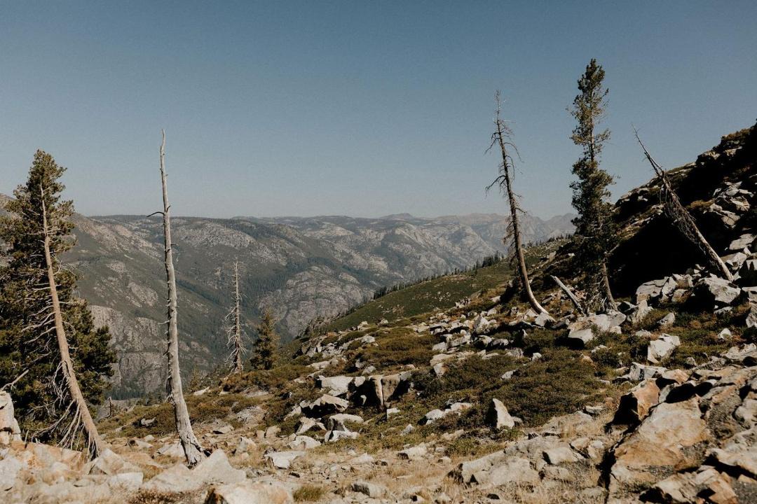 Photo of Others in Bear Valley