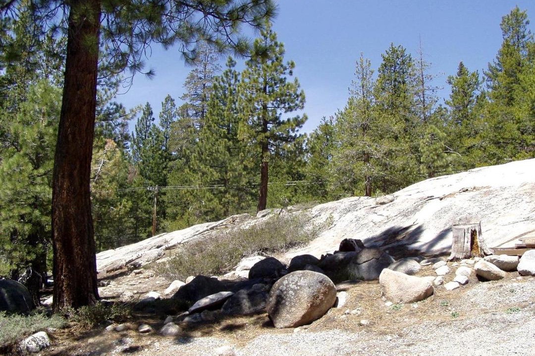 Photo of Others in Bear Valley