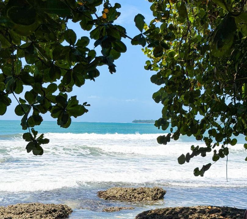 Photo of Others in Cahuita