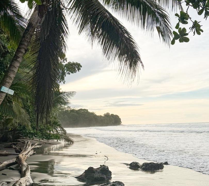 Photo of Others in Cahuita